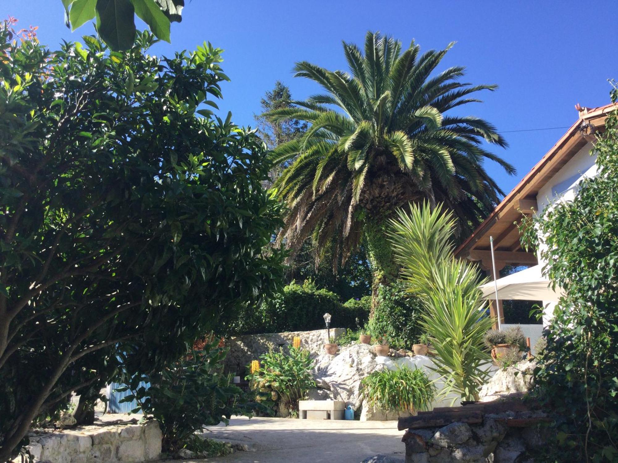 Casa Jardin Rocablanca Llanes Villa Celorio  Exterior photo
