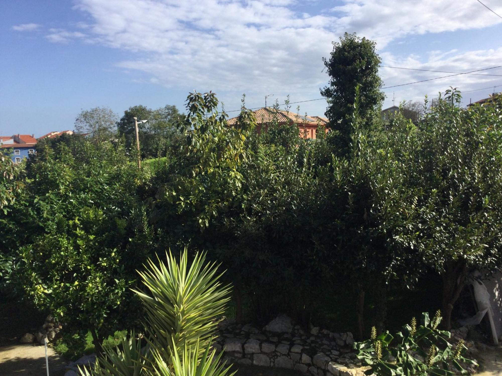 Casa Jardin Rocablanca Llanes Villa Celorio  Exterior photo